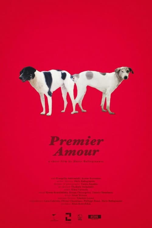 Poster for Premier Amour