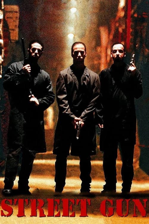 Poster for Street Gun