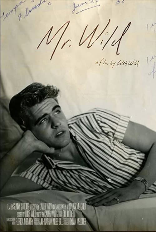 Poster for Mr. Wild