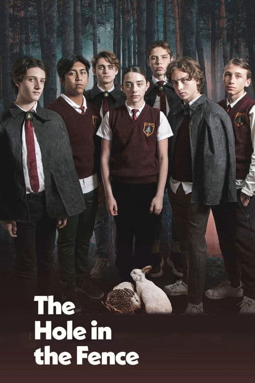 Poster for The Hole in the Fence