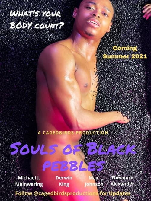 Poster for The Souls of Black Pebbles