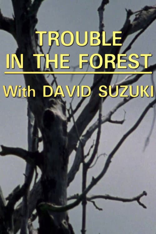 Постер до фільму «Trouble in the Forest»