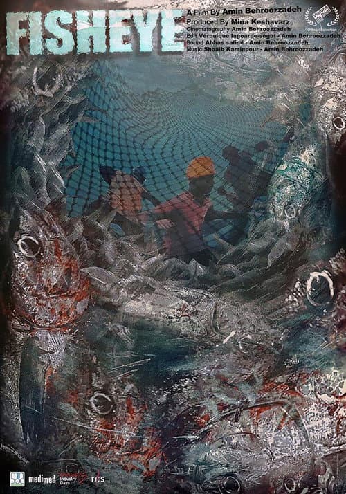 Poster for Fish Eye