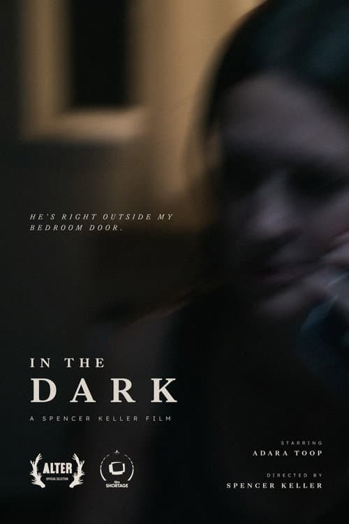 Poster for In the Dark