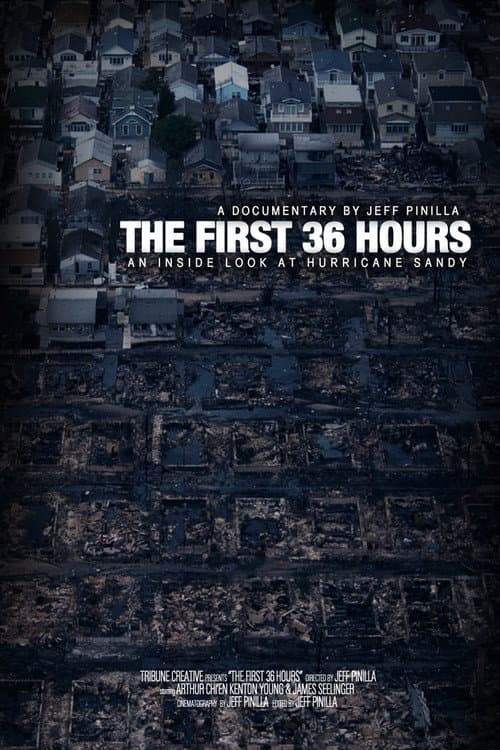 Poster for The First 36 hours: An Inside Look at Hurricane Sandy