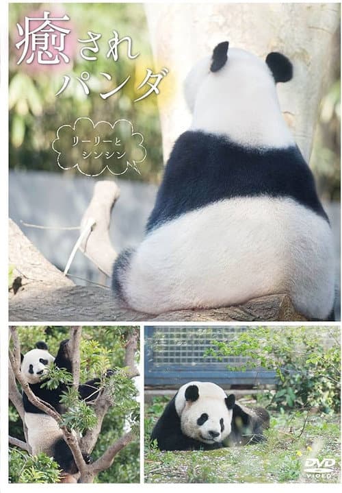 Постер до фільму «Healing Panda: Ri Ri and Shin Shin»
