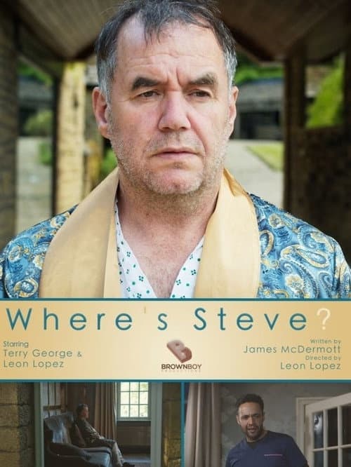 Poster for Where's Steve?