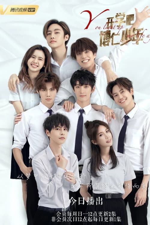 Poster for You Light Up My Life Again