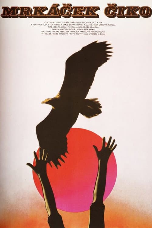 Poster for Blinker-Ciko