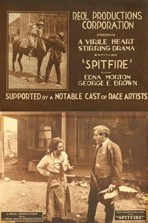 Poster for Spitfire