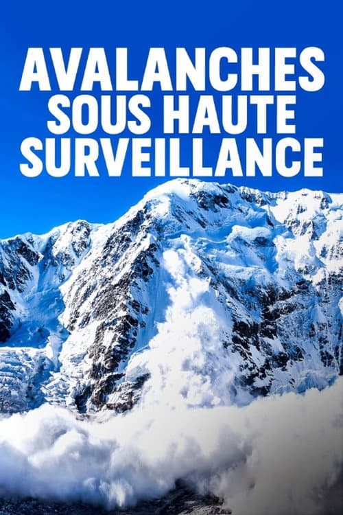 Poster for Lawinen – Die unterschätzte Gefahr