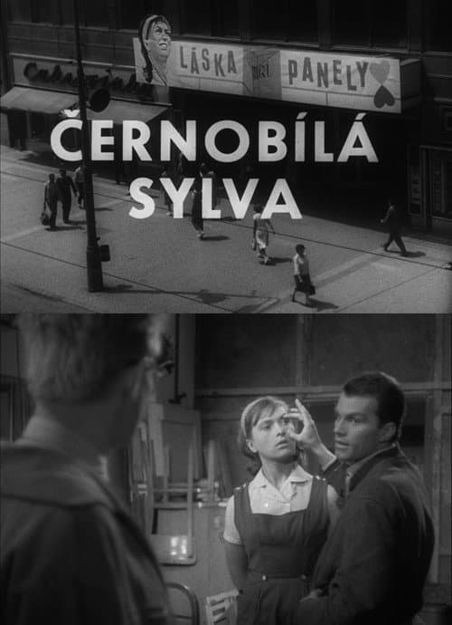 Poster for Black and White Sylva