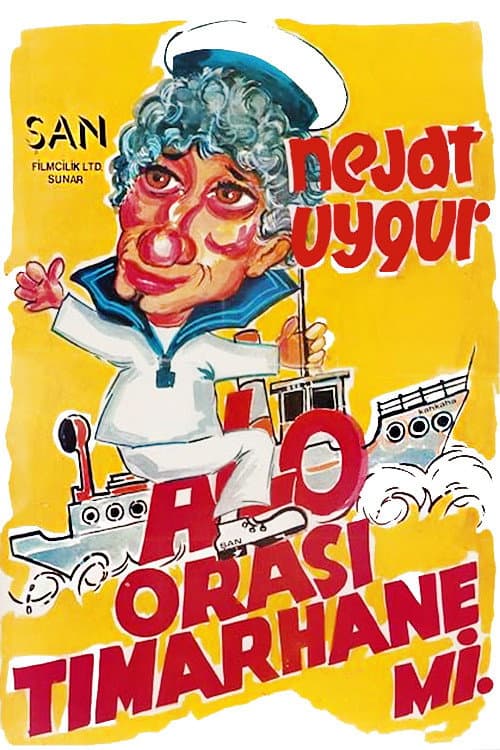 Poster for Alo Orası Tımarhane mi