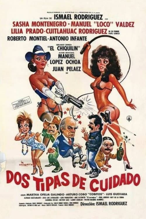 Poster for Two Kinds of Schemes