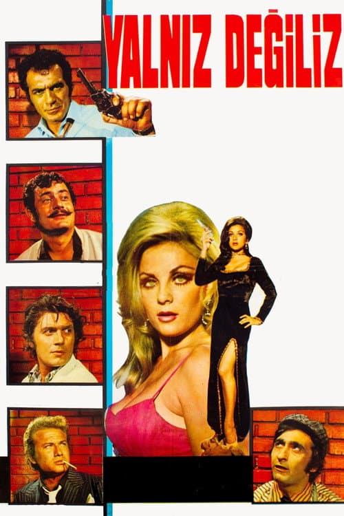Poster for Yalnız Değiliz