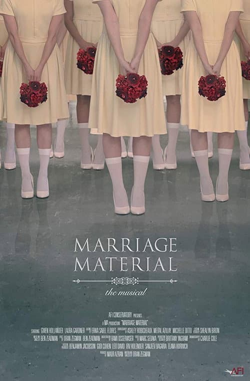 Poster for Marriage Material