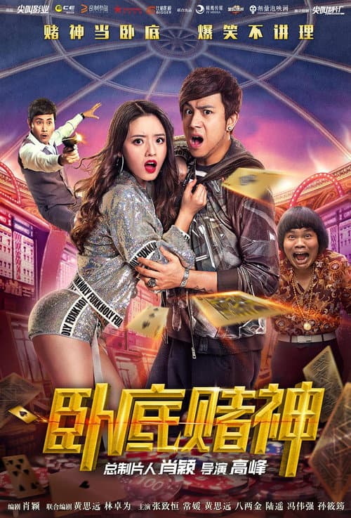 Poster for The Undercover Hero