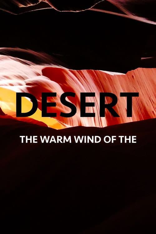 Poster for The Warm Wind Of The Desert