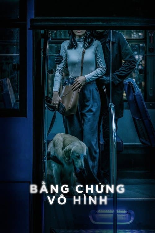 Poster for Invisible Evidence