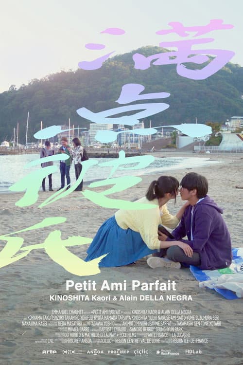Poster for Perfect Boyfriend