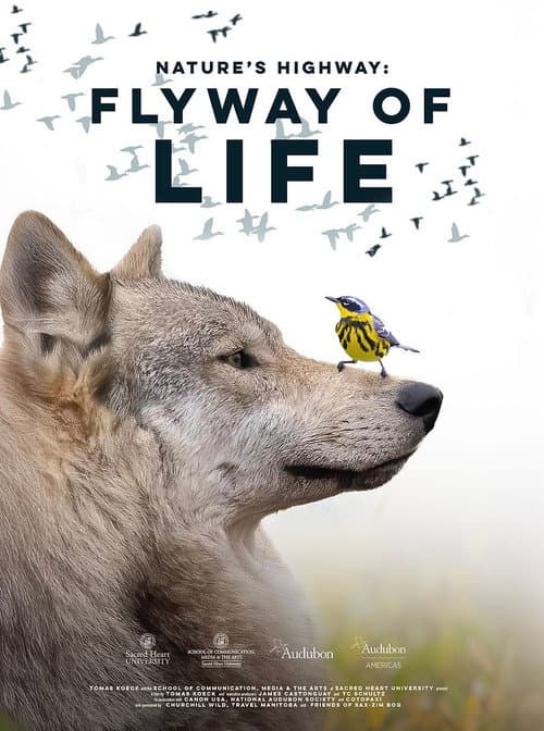 Poster for Flyway of Life
