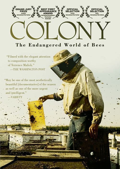 Poster for Colony