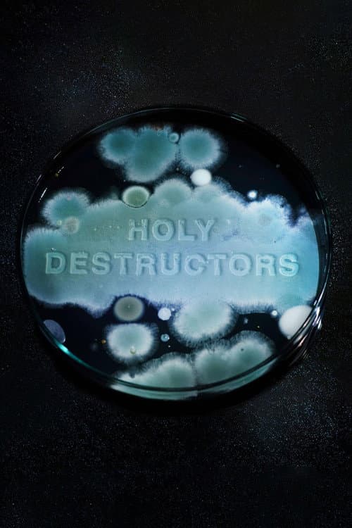 Poster for Holy Destructors