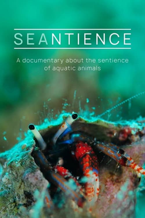 Poster for Seantience