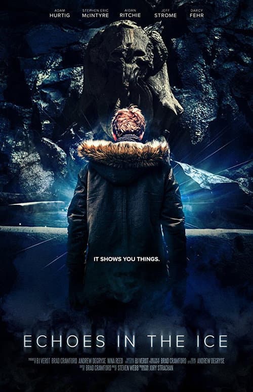 Poster for Echoes in the Ice