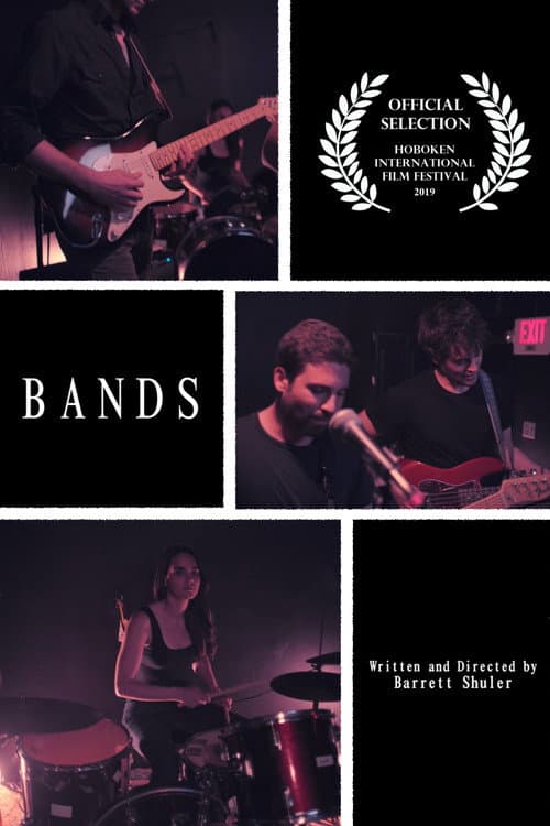 Poster for BANDS