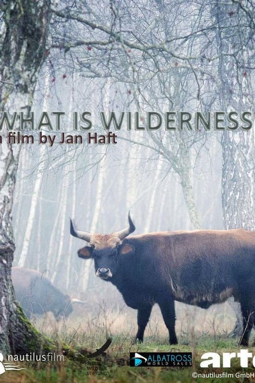Poster for What is Wilderness