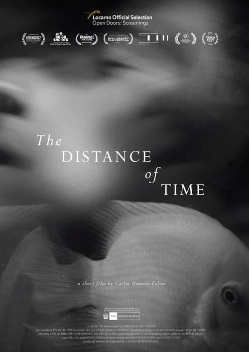 Poster for The Distance of Time
