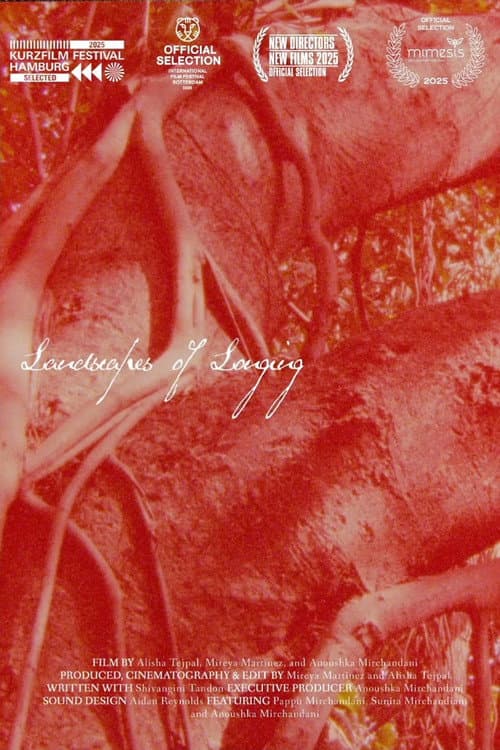 Poster for Landscapes of Longing