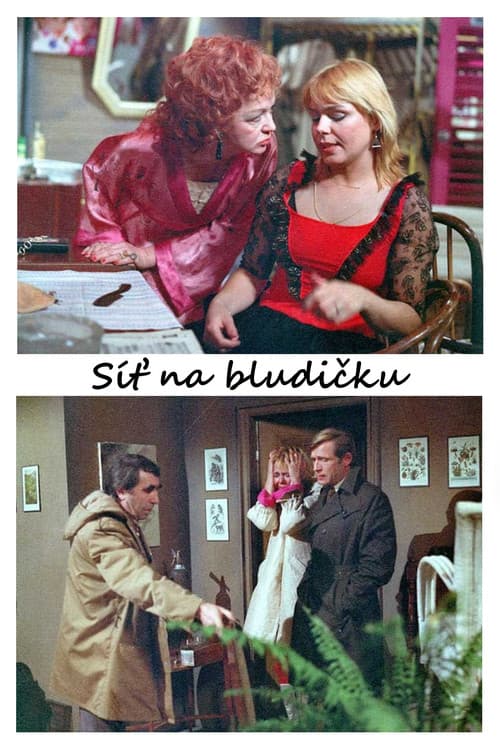 Poster for Síť na bludičku