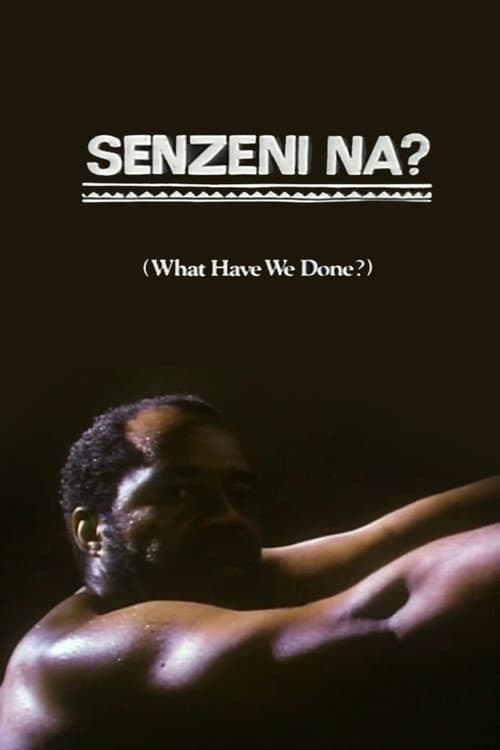 Poster for What Have We Done?