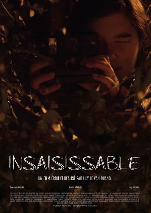 Poster for Insaisissable