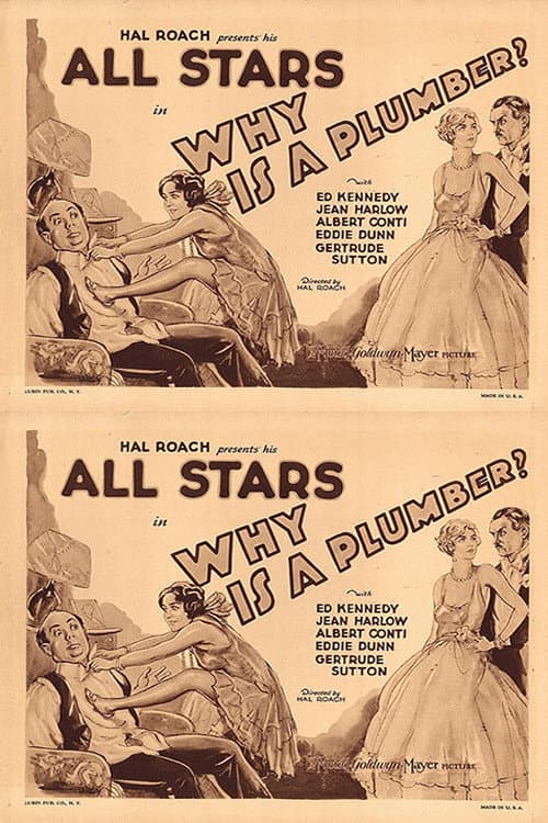 Poster for Why Is a Plumber?