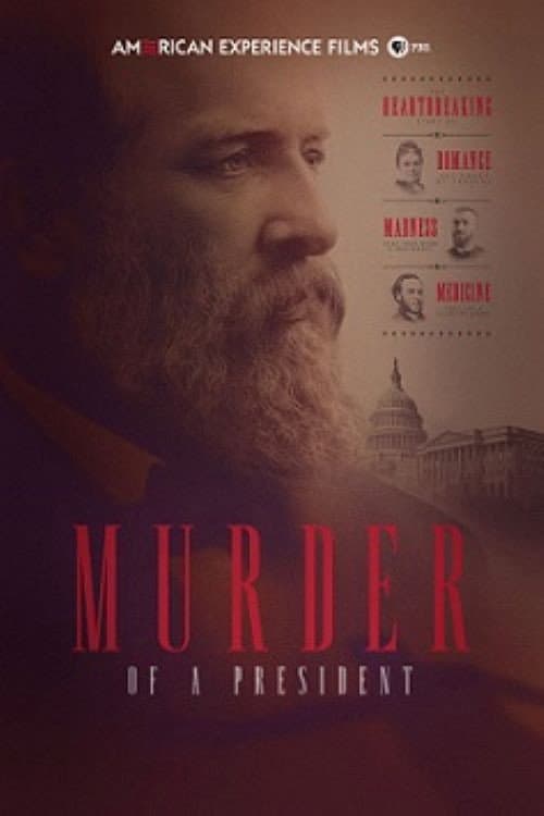 Poster for Murder of a President