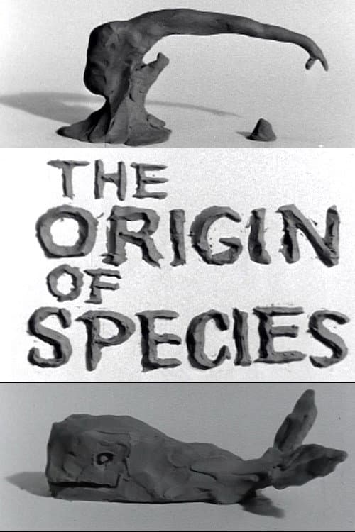Постер до фільму «Clay or The Origin of Species»