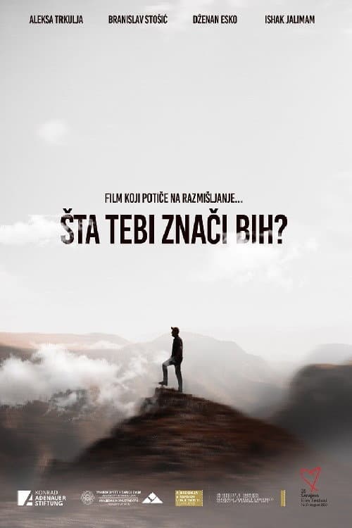 Poster for What Does Bosnia Mean to You?