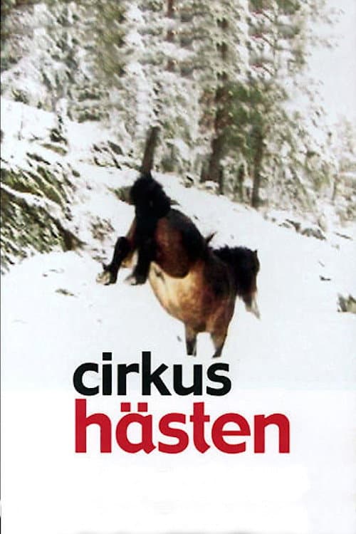 Poster for The Circus Horse