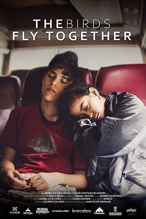 Poster for The Birds Fly Together