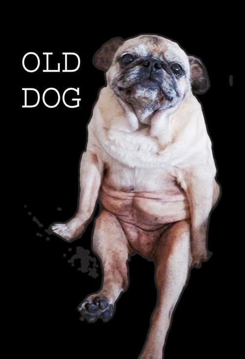 Poster for Old Dog