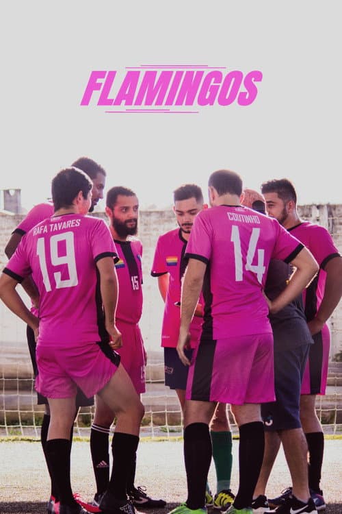 Poster for Flamingos