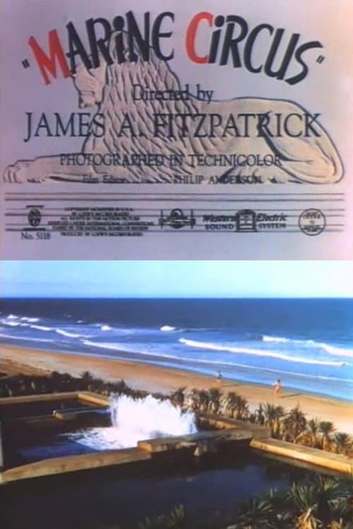 Poster for Marine Circus
