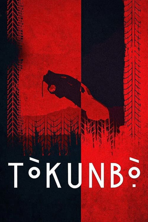 Poster for Tòkunbọ̀