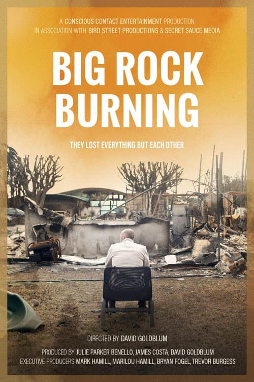Poster for Big Rock Burning