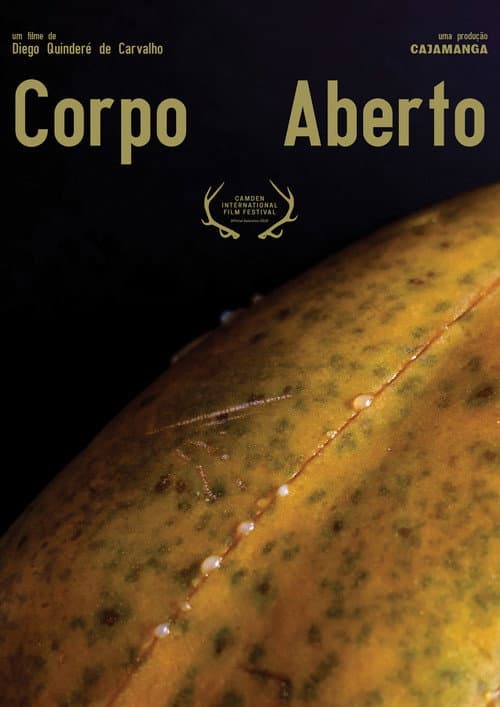 Poster for Corpo Aberto
