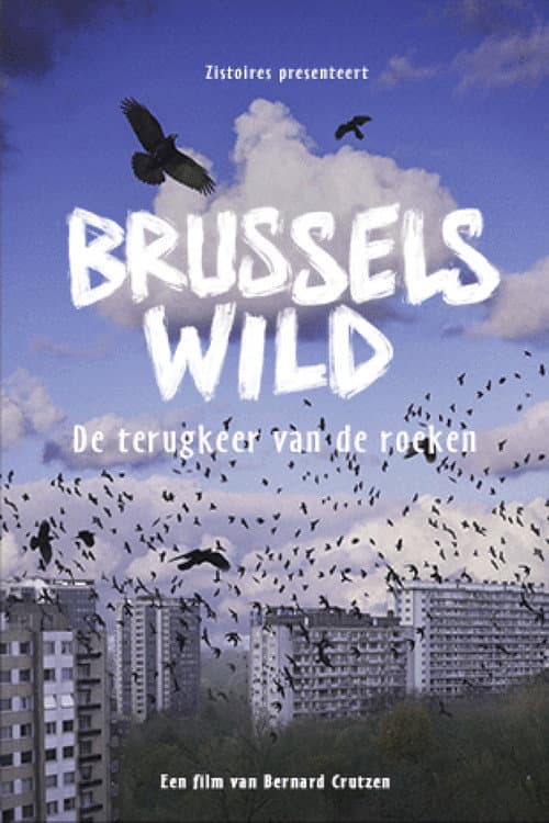 Poster for Bruxelles Sauvage - Le retour des corbeaux