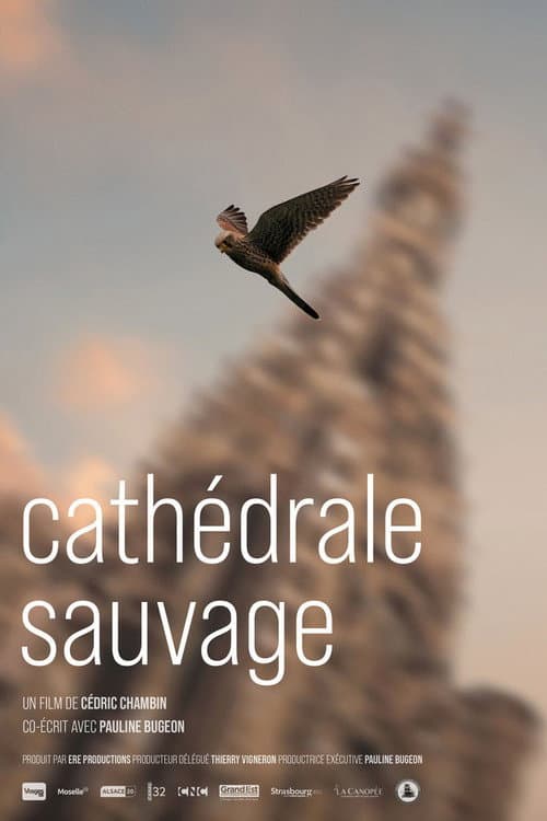 Poster for Cathédrale sauvage